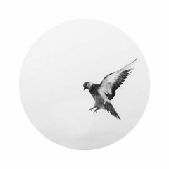 Teardrop (Aurora Bootleg)