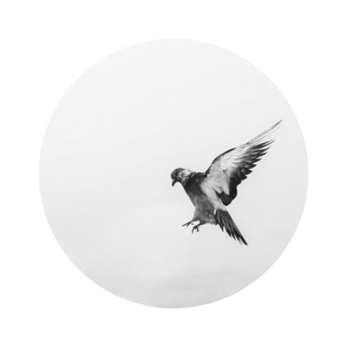 Teardrop (Aurora Bootleg)