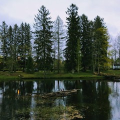 Wachet Auf, ruft uns die Stimme