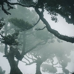 Music, Porn & Drugs .mp3