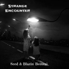 Seed & Blazin' Bomzai - Strange encounter