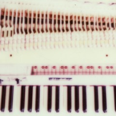 Four Arms a Strength, Two Arms a Crutch