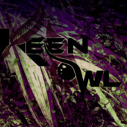 Keen Owl Meets ZāYiN - Arctic Stepper