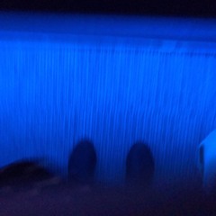 ミッドナイト熱帯魚