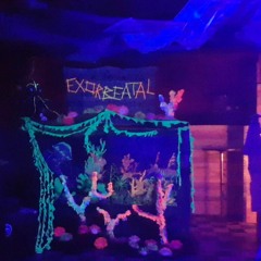 Restlichtzone Events