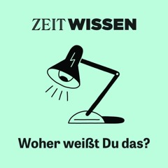 Atemübung mit Vilas Turske N° 2