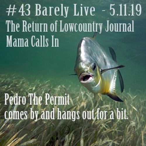 #43 Barely Live - 5.11.19