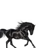 'Old Town Road' Lil Nas X Type Beat Sale Trap Beats 2019 'Old Town Road' Lil Nas X Type Beat Sale Trap Beats 2019