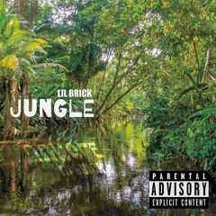 Jungle(Prod. KLINGO)