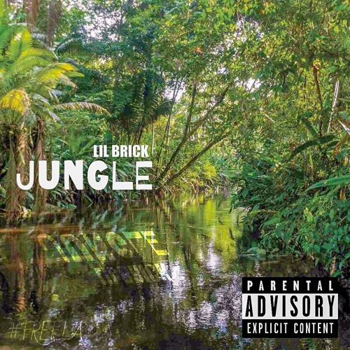 Jungle(Prod. KLINGO)