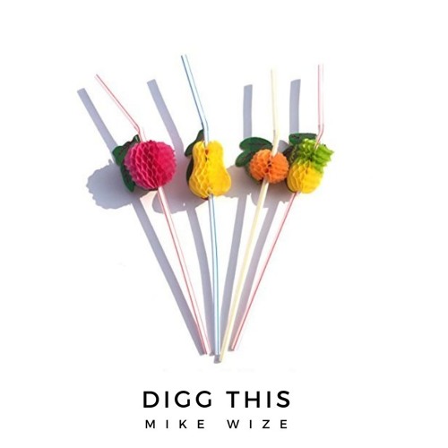 DIGG THIS - Mike Wize