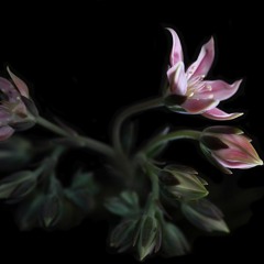 Stockhaus & Nuñez - Deep Afterhour Nr. 330