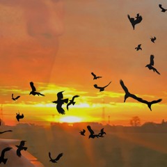 fliegende Seele