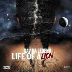 Life Of A Lion