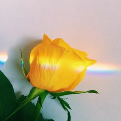 sunsprinkles