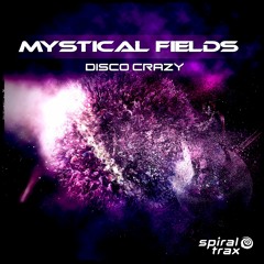 01) Mystical Fields - Computer Technology [Original Mix]