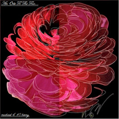 Glamourous Hoes & Moet! [Classy]