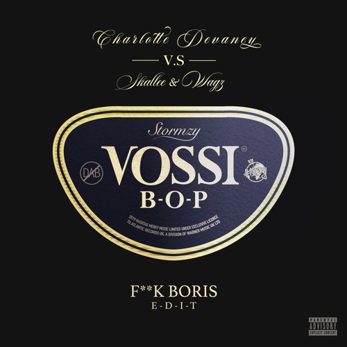 Stormzy Vossi Bop (The F**k Boris Edit)*FREE DOWNLOAD LINK BELOW*