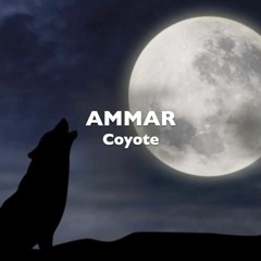 COYOTE - written by Ann Ammar & Devon Love