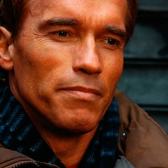 О Правильном подходе к жизни. Франц Вертфоллен.