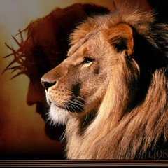 The Lion Of Yehudah
