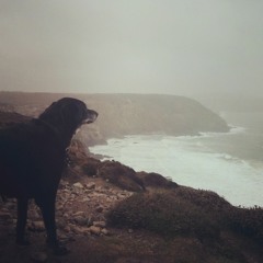 Salt Water Rain ver2