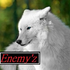 Enemy'z official