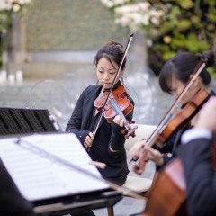 Jesu, Joy of Man’s Desiring – Bach