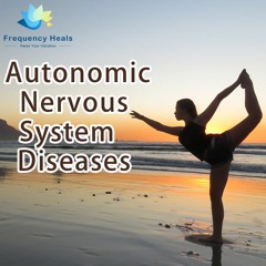 nervous system