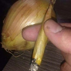 Ascend - Slowed/Reverb