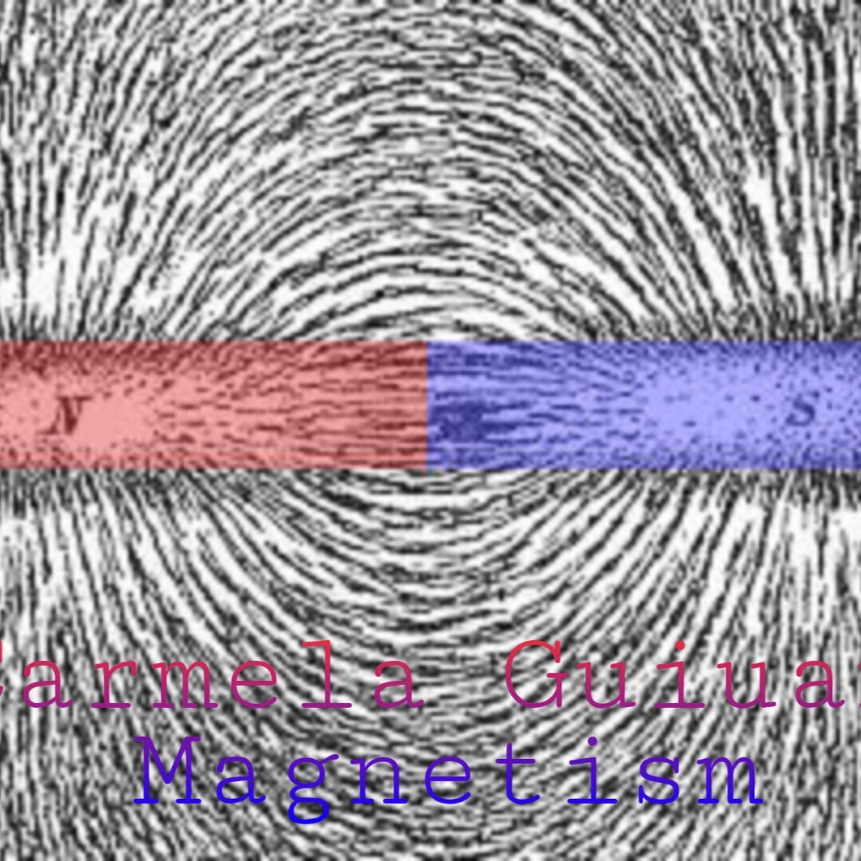 Track cover