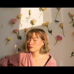 ดอกไม้พลาสติก - Alinda