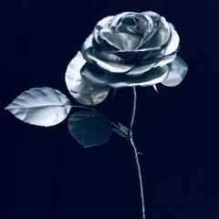 Longstocking, Wildrose, Seattle 05/10/19