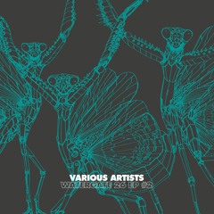 dOP - Radiowaves