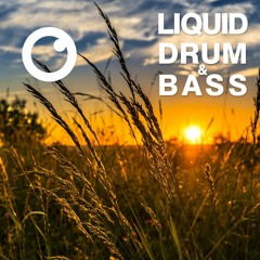 Liquid Drum & Bass Sessions #04 - Dreazz [May 2019]