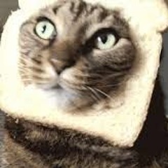 my name is lily madwhip