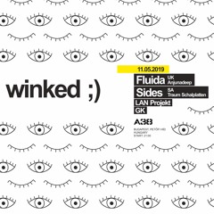 Winked Budapest 11-05-2019 part 2 - Fluida & LAN Projekt
