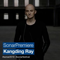 SonarPremiere: Kangding Ray - Stone Sober Brushstrokes