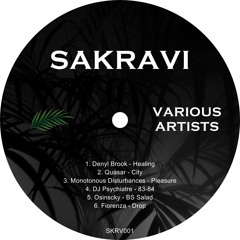 SKRV001 - Various Artists - Snippets
