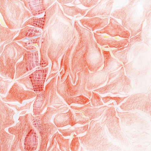 Premiere: Iku »As It Fades We Fade« [AMEN]