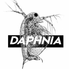 Jhon Mayer- New Light (Cover By Daphnia)