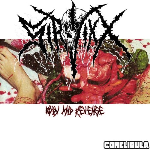 Sir Vixx - Revenge