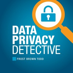 Episode 35 - Hot Topics In Data Privacy - From The US Front