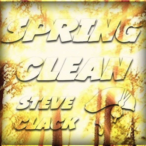 Spring Clean HH 2019 - Steve Clack