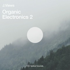 Organic Electronics 2 (Sample Pack Demo)