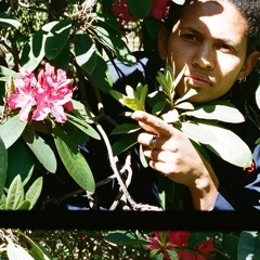 SPRING 19 MIX