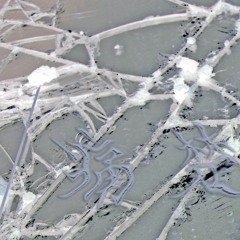 真的很對不起,但我沒有辦法