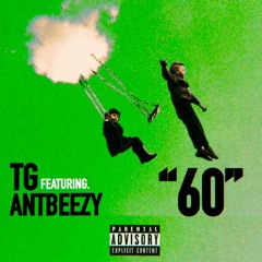 60 Ft AntBeezy5