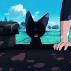 black cat
