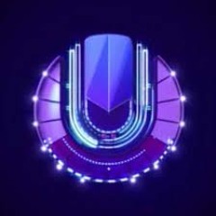 Marshmello UMF 2019 Intro Remake By Tom K.